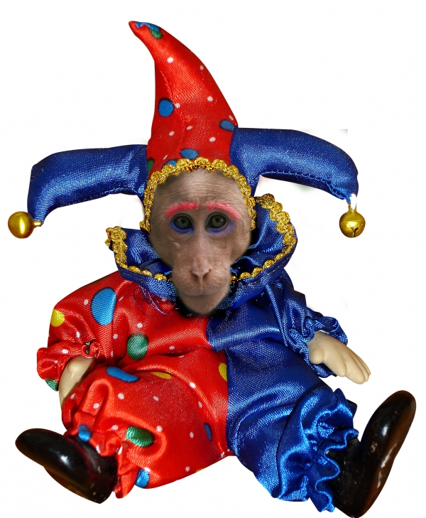 Creation of Monkeying around: Step 3